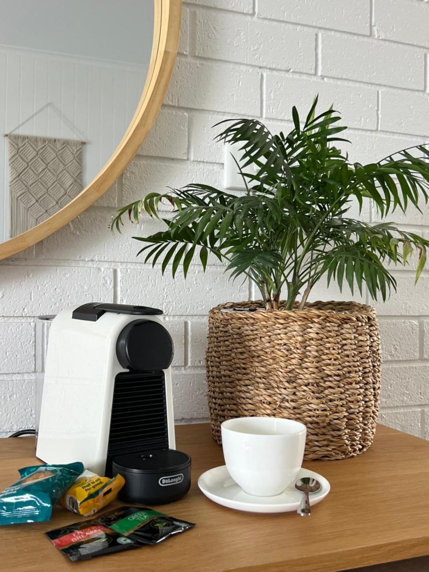 Mollymook Seascape Motel And Apartments (Adults Only) المظهر الخارجي الصورة
